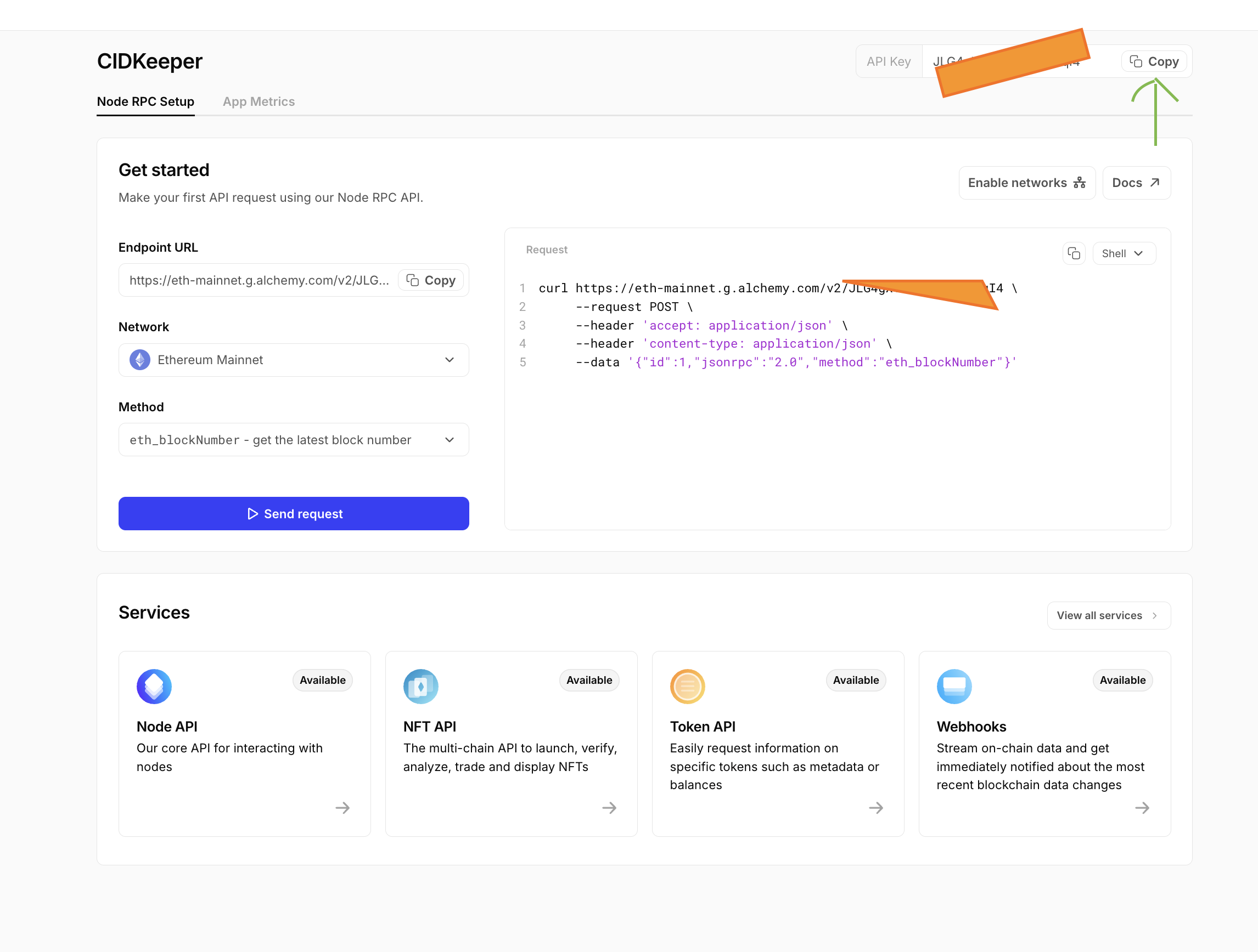 Alchemy setup step 5: On your app’s setup page, copy the API key and paste it into Alchemy API key above, then save to this browser.